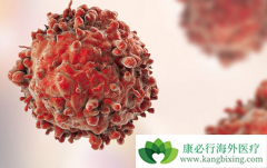 ��ϸ��ת�ƺ�����ϸ�����Զ��Լ��Ĵ�л�ر��