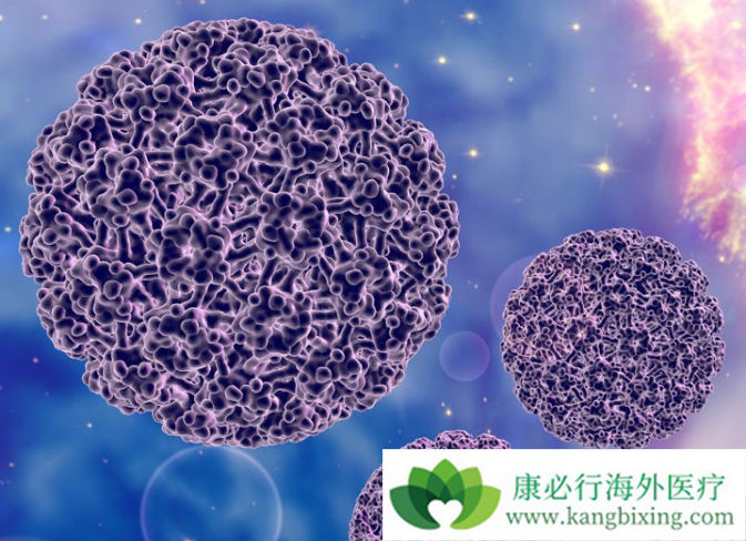 癌症病人吃什么 癌症病人吃什么