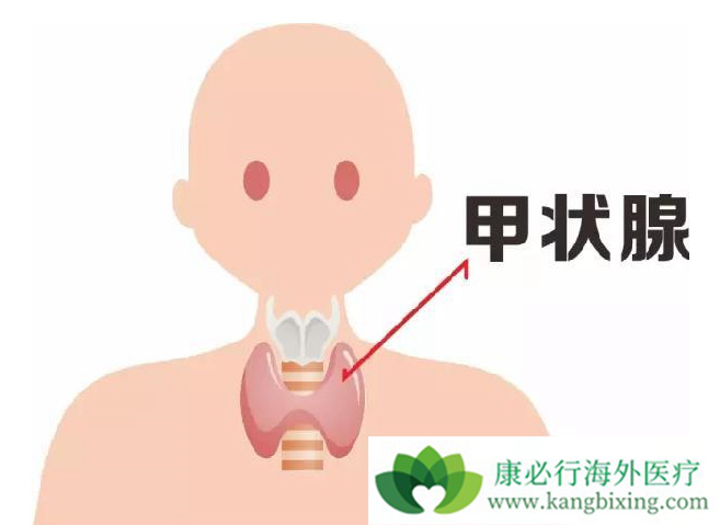 癌症的治疗 癌症的治疗