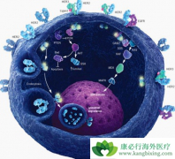 ��Щ��֢�������߿��Գ԰�������ҩ�