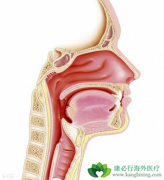 ���������Ǳ��ʰ����ƺ�ڶ���������֢