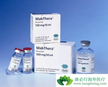 �������޻�(Rrituximab)����ϸ��ҩ�����Ľ���