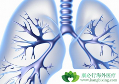 ���̲�����Ⱦ�������ӷζ�����ѹ���ڵķ�����