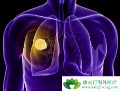 ����������Ե����ðе㱻д�����°��Сϸ���ΰ�ָ��