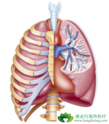 ���Ĳ���������ζ�����ѹ�������ٵ�����