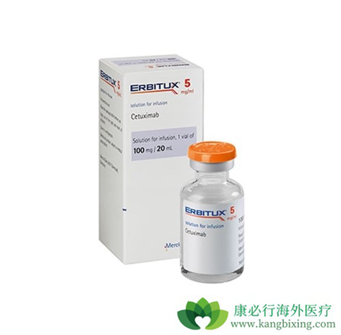 西妥昔单抗 西妥昔单抗