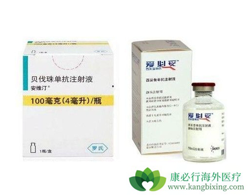 西妥昔单抗 西妥昔单抗