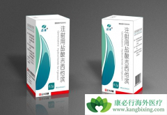 ��������(Gemcitabine)ʹ�ù����еĲ�����Ӧ������