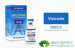 ��������/����������ҩ������Ч���������ڵ�ҩӦ��