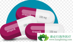 ��������(Zejula)������ķ������HRD���Ի��߾��нϺ�������