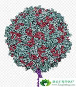 ��������ײ��������м��֣�����ʲô��ȱ�㣿