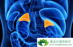 �����������������Ѿ��������������Ͱ���ҩ����ѡ��