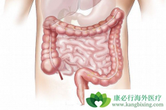 �᳦�������ƽ�����ѧ����������