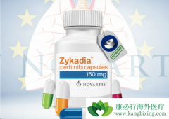 ��Сϸ���ΰ�ʹ����������������ô���ḱ���ã�