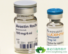 ���ڽ�ֱ�������˱����鵥�����⻹����ʹ������������