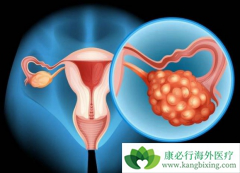 �����������Ϊ�������ѳ�����������ҩ��