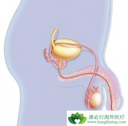 ����ǰ���ٰ��ܻ��ã��ٴ�������Щ���ƴ˲���ҩ�