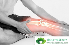 ��¡������Ƭ�����õ��µĹ������ɸ����Ԥ�����ƣ�