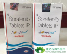 �������ܹ������������Ƶ����ڸΰ�����������ʹ����������Ƭ