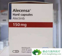 ��ALK+�ķΰ����߶��԰��������Ǳȿ���������˵���õ�ѡ��