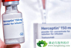 ����͡��Ӧ֢������ֻ��ת�������ٰ�������HER2������θ��