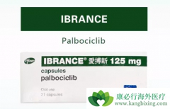 �����������������ҩ�����Ʒ����ӳ����ٰ������޽�չ������