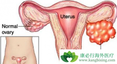 Ӱ���ѳ������ڻ��ߴ���ڵ���������Щ��