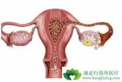 ��������ά�����ƿ������ӳ��ѳ������ڻ��ߵ��޽�չ������