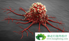 ���������������������������Щ����������֣�