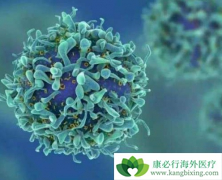 ��ϸ�˽������������������������