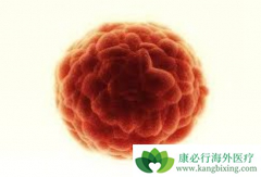 ���߼������Ƽ����ƿ���������������Ч