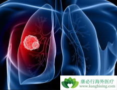 EGFR���Ƽ�����ת�Ʒΰ�����������ʲô���ã�