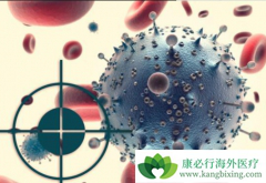 ���ڸΰ�������ΰ��Ű������ƺ��������Ƶ�˳��