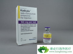 ΪʲôNCCNָ���Ƽ�T-DM1����Her-2ͻ��ΰ������Ǻ���͡��