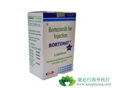 �������׵�������ҩ�����򽫳�Խ��������/���棿