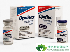 ���ں�ɫ���������߼������Ƽ����׸���Ӧ֢