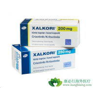 ALK���Ƽ����������������ĸ���������Щ��