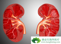 �����������ܻ��ã��������ڻ������Щת�ƣ�