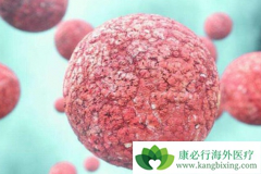 ��֢��ʹ����Ϊ����ת���������