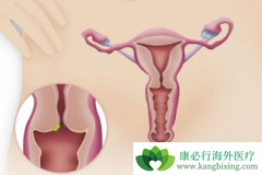 �������ӹ�����������ʲô���ã��ʺ���Щ���ߣ�