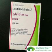 ��������(LAPATINIB)��ҩ����θ��Ч����ô����
