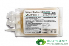 CAR-TǶ�Ͽ�ԭ����Tϸ���Ʒ��Ĵ���ҩ������Щ��