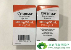 ��Ī¬���������ɼ������Ч�ӳ�θ�����ߵ��޶������ں���������