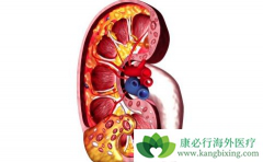 ��������ҩ���ʹ�������ڻ��߻������Ԥ��