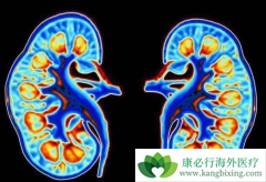 �������ڵĻ��߻������Щ֢״���֣�