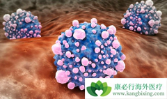 ����ж����������᲻��񻯳ɶ���������