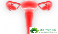 ��������������֢״ͨ������Щ��