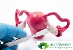 ���ȶԸ�����������ĳ������ָܻ��͸�����ʳ��������Ч��