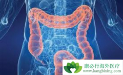 ���ϴ󳦰�֮�������ߵ����������ЩӰ�죿