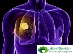 ����ҩ���뻯�����û�����ΰ����Ƶĸ�����